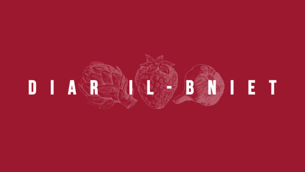 Diar il-Bniet logo